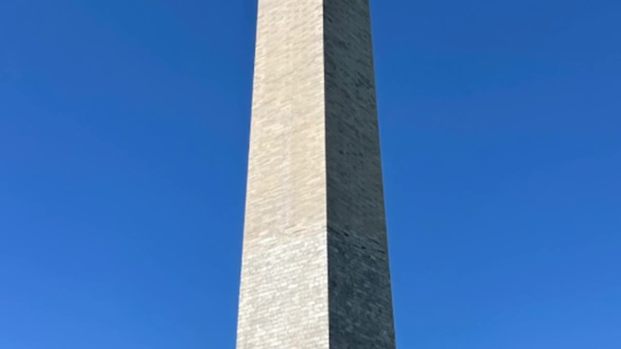 Nimmys Penis
