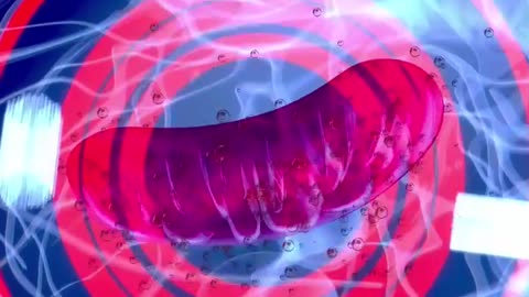 SEVERAL WAYS TO AVOID CANCER