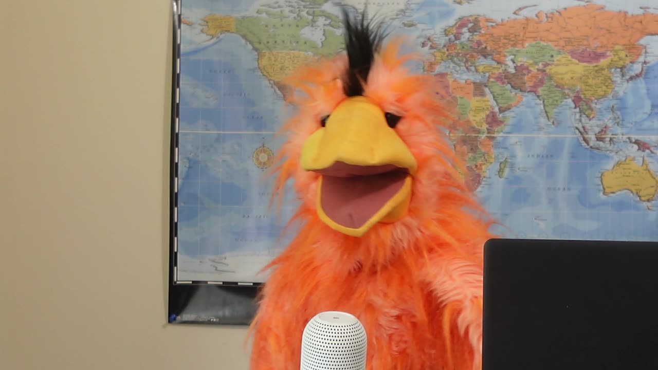 Russia USA meeting in Alaska could pave the way to peace in Ukraine