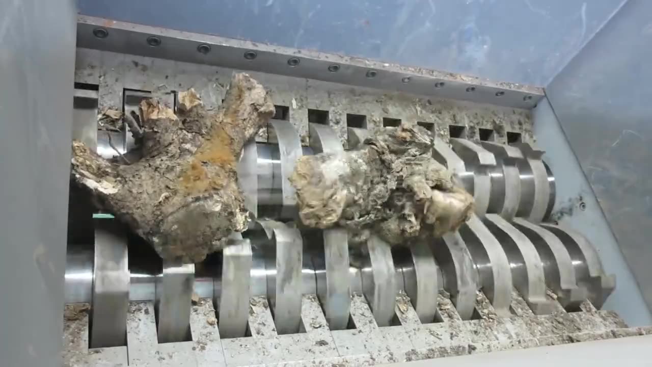 Ultimate Tree Root Shredding Test: Watch Our Double Shaft Shredder in Action!