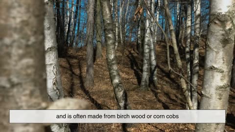 Erythritol & Xylitol; The Low-Cal Sweeteners You Didn’t Know You’re Eating