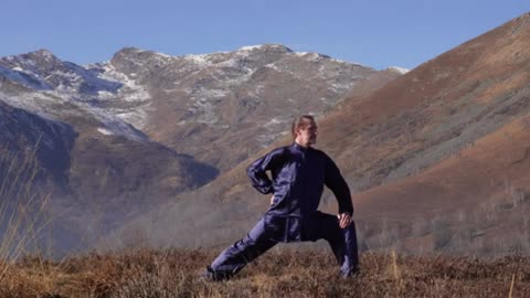 20 MIN TAI CHI WARM UP, STRETCHING and JOINTS MOBILITY EXERCISES WithTiger and Dragon