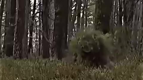 Watch this Sniper disappear! #shorts