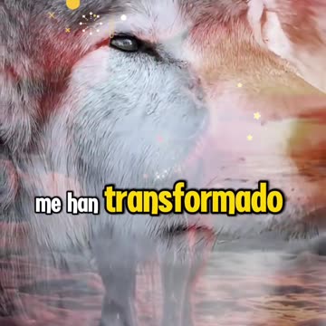 REFLEXIONES 💫 🤍 💫