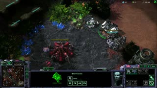 This is how to cope with your own failures, Starcraft 2 lessons.