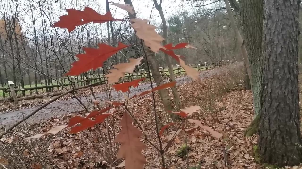 rozczarowanie i ciąg dalszy ...