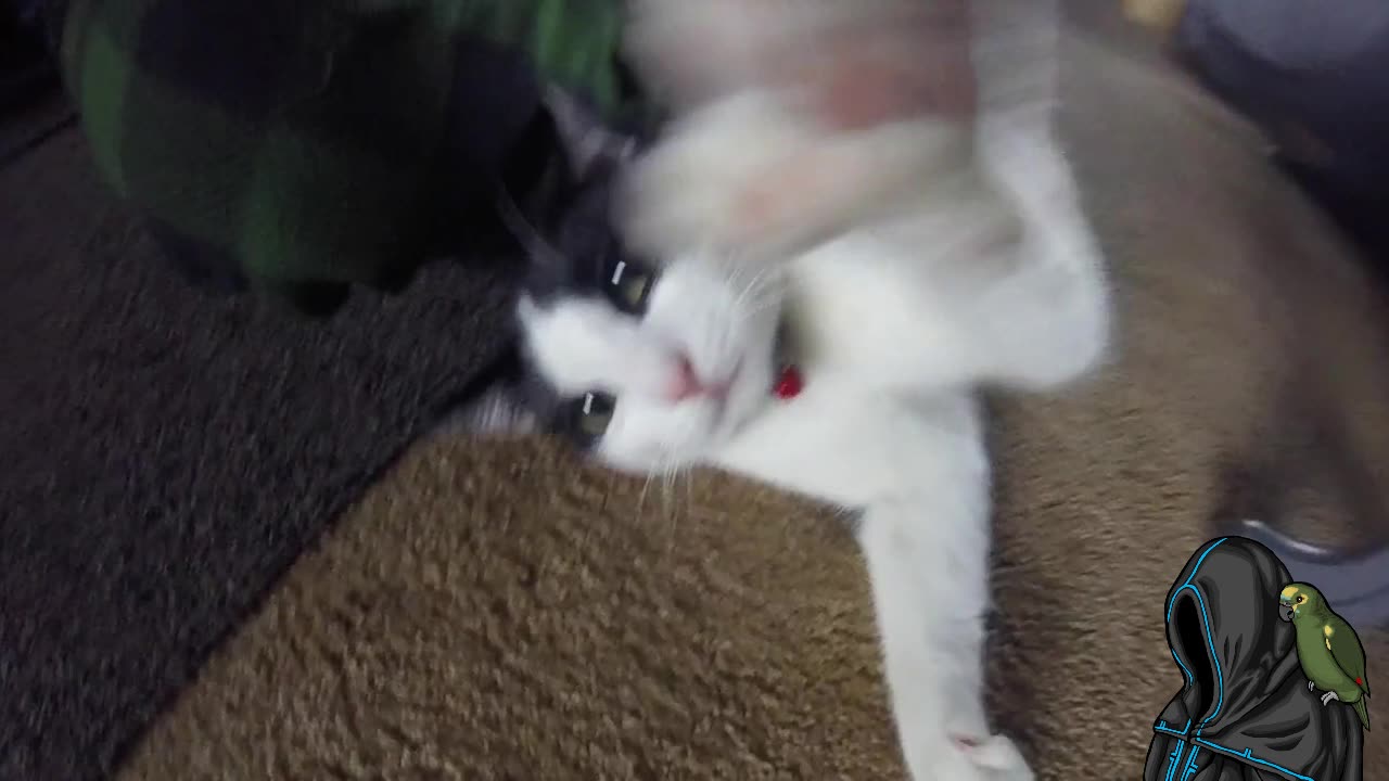 foots2