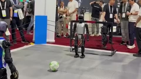 The Penalty Robot