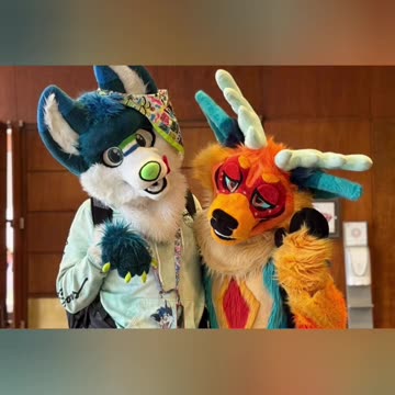 Absurd TV: The New Democratic Party