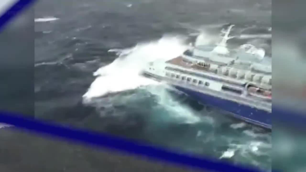 Ocean Life