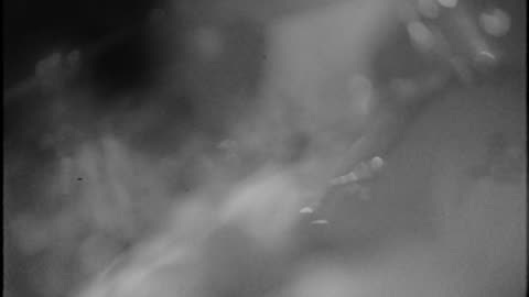 IMPURE WILHELMINA - Gravel (official music video)