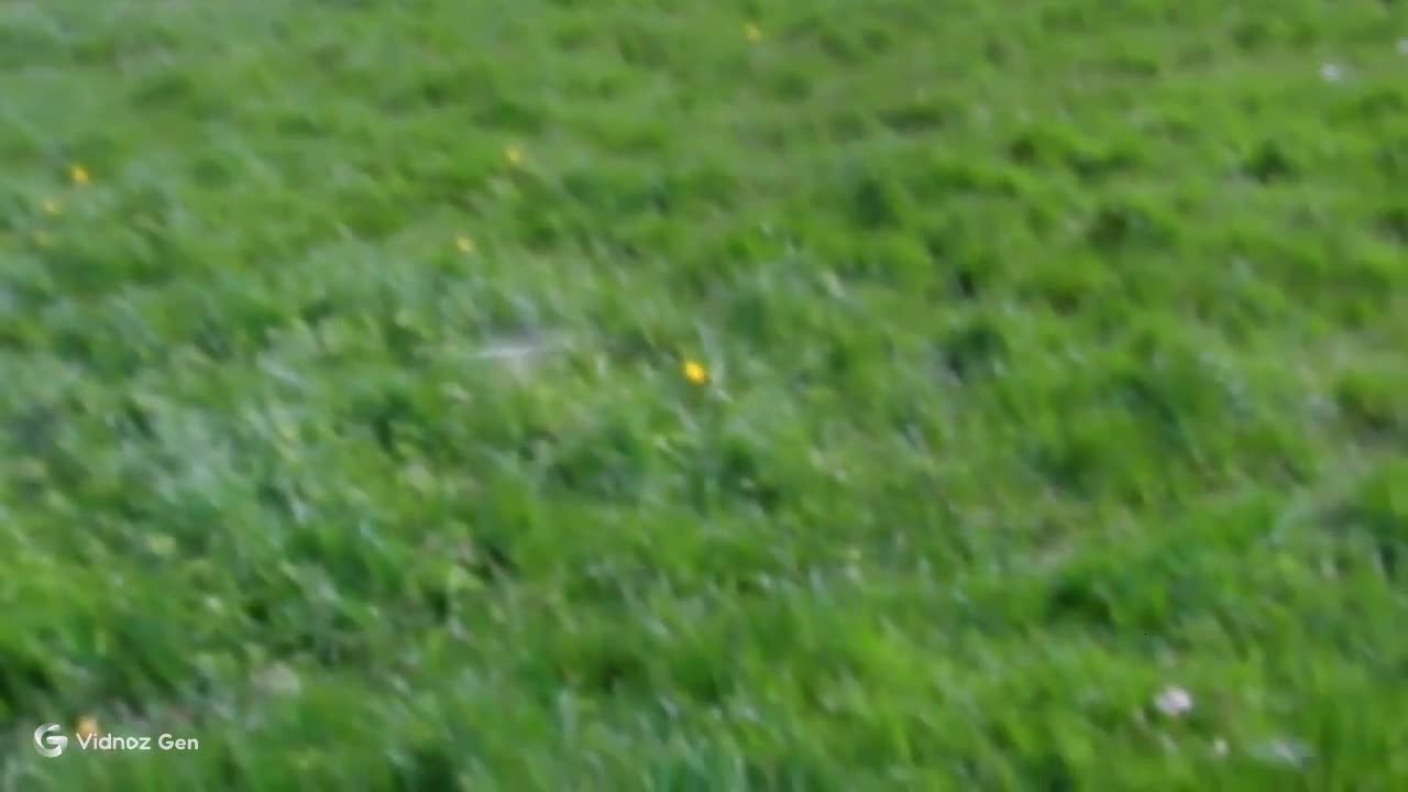 Curious Bunny Noses