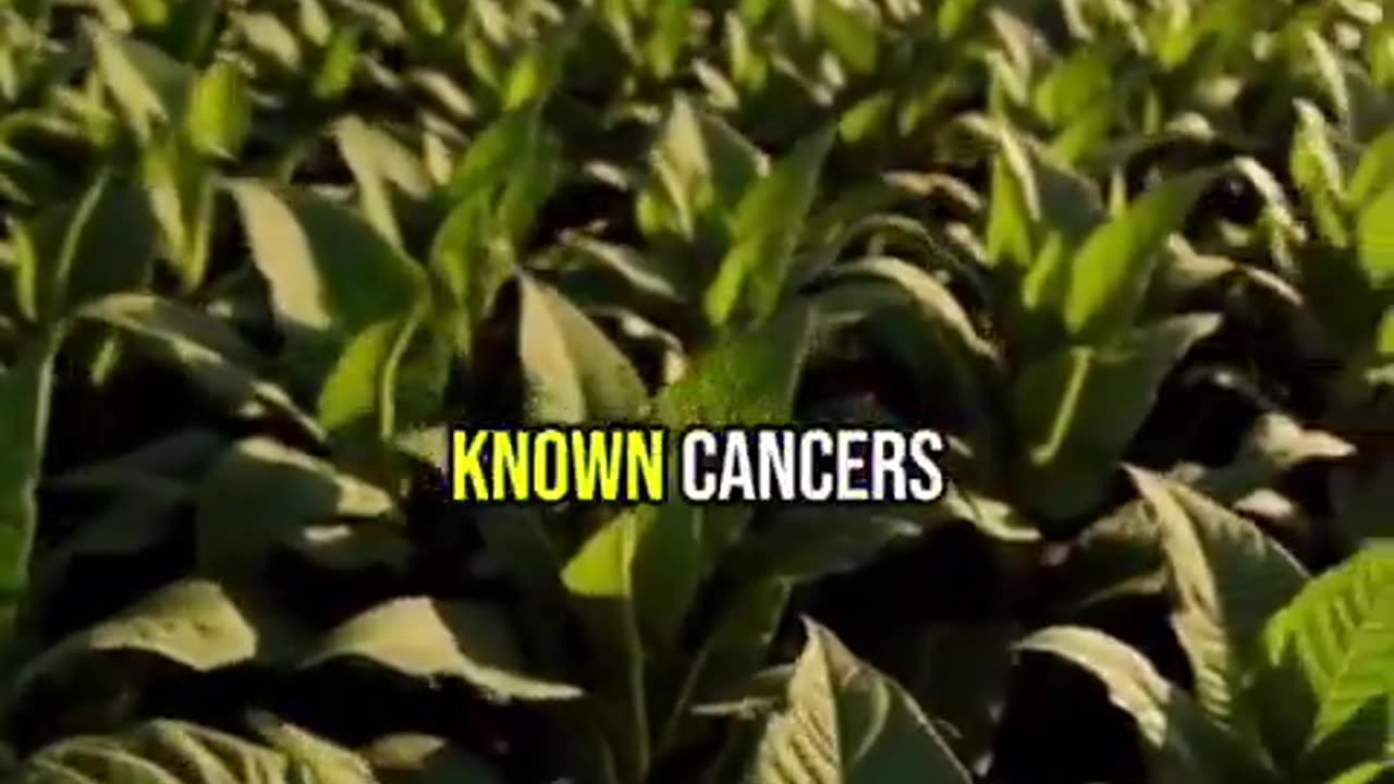 Bryan Ardis to tell the world about his mind blowing research on Nicotine...