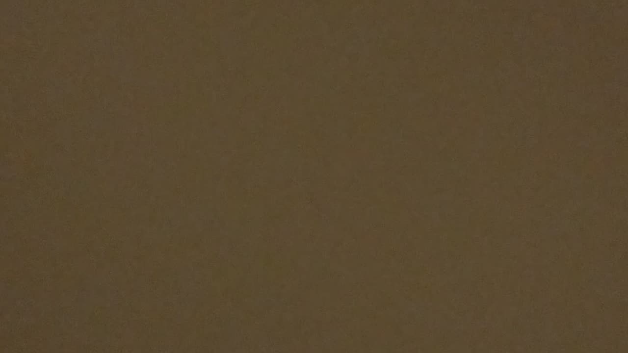 Blank and b4blank b4