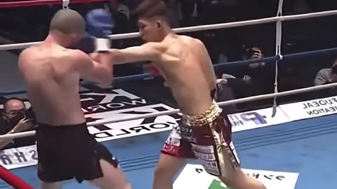 Funny knockouts. "boxing humor"