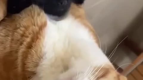 When in a smothering relationship