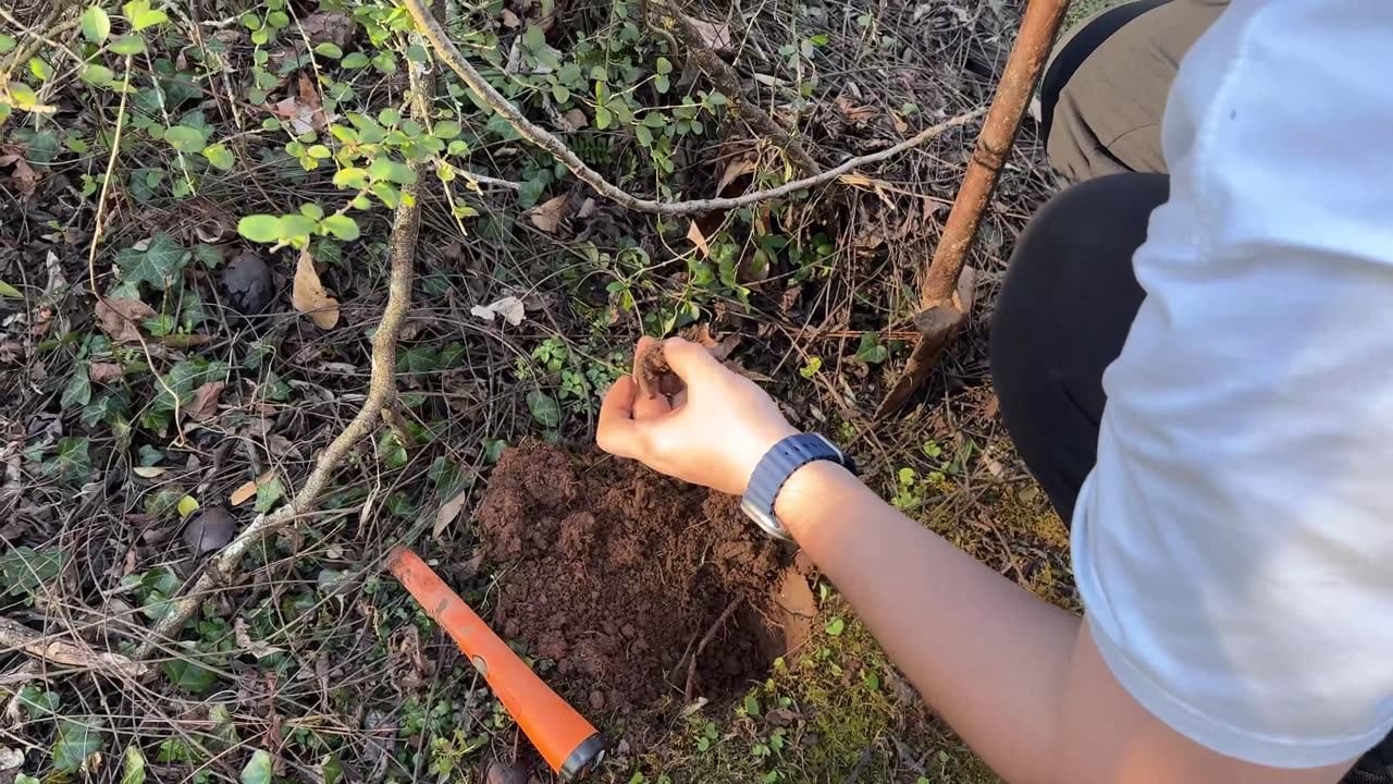 What I found gave me chills (Metal Detecting)