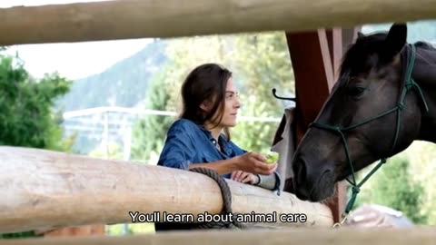 Why you should own a horse