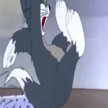 funny video funny videos all funny video bangla funny vide tiktok funny video new funny video