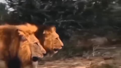 MOTIVAÇÃO SEMPRE, ESTAMOS JUNTOS NESSA JORNADA!