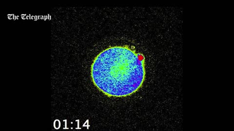 Bright flash of light marks incredible moment life begins