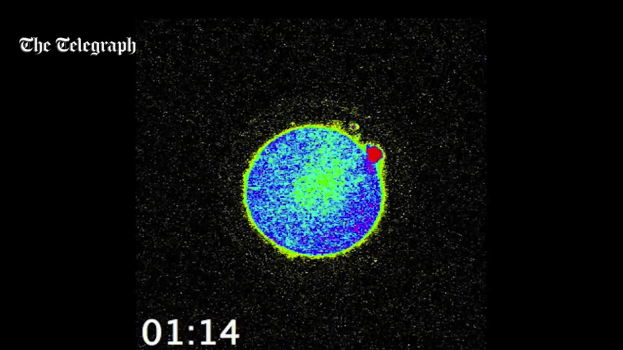 Bright flash of light marks incredible moment life begins
