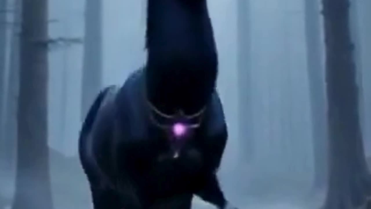 best ai trnasition video 2025