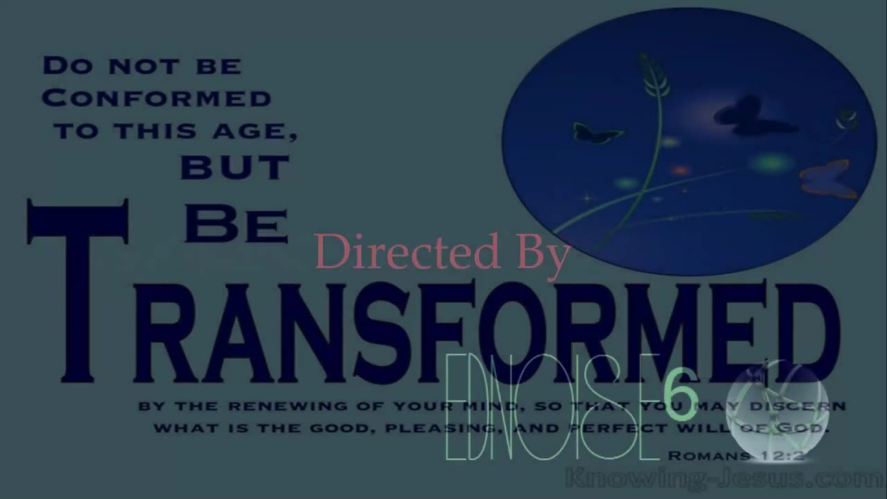 Rare of Breed ~ Not the Same { Live + Lyrics } Remix 1 { Dance Ver. } Christcore PC