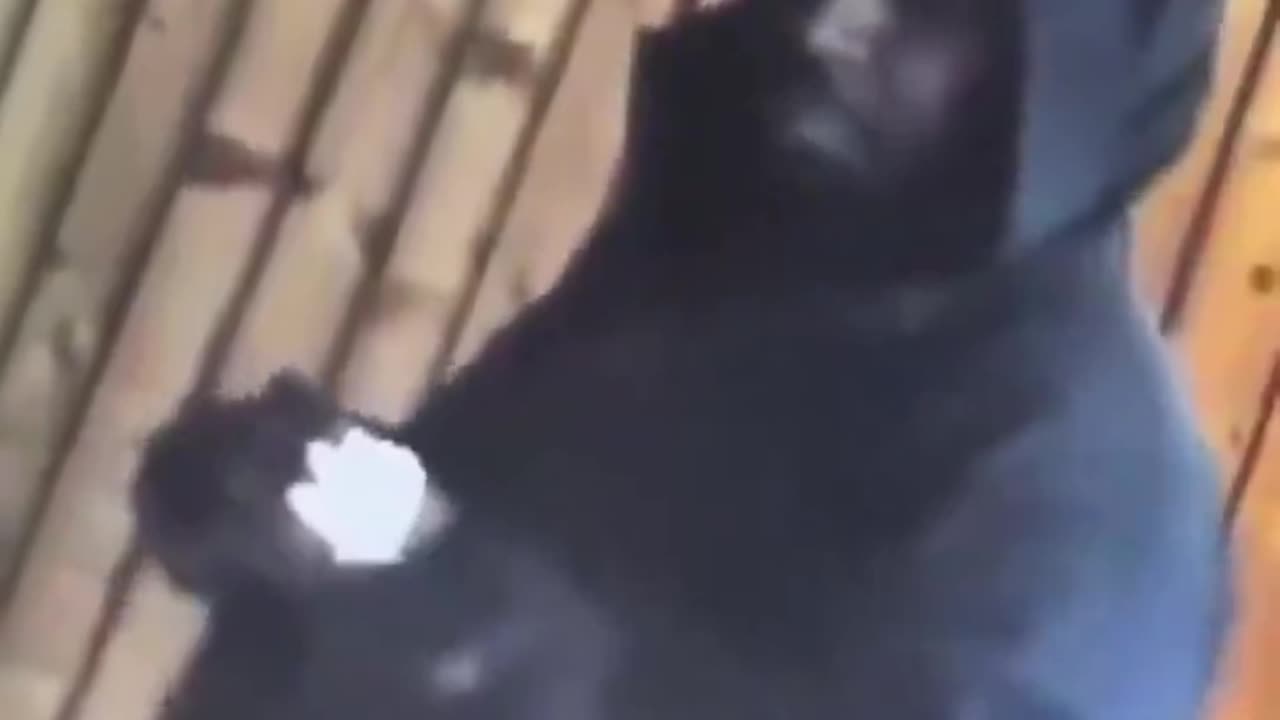 TRAIN ATTACKER CHARGED WITH 10 COUNTS OF ATTEMPTED MURDER