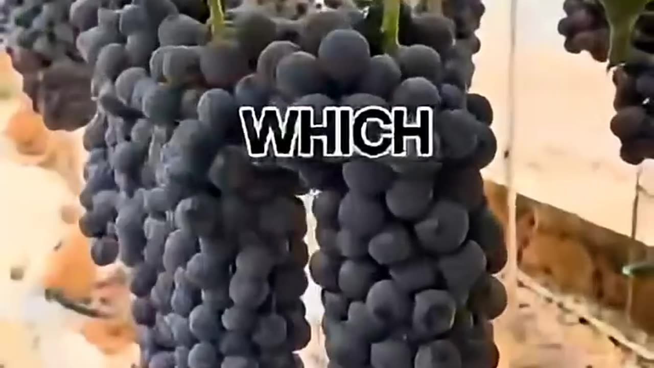 Fruits to avoid to have stable blood sugar