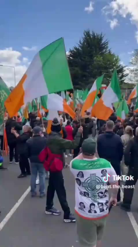 🇮🇪 IN IRLANDA SI SONO SVOLTE PROTESTE DI MASSA CONTRO I MIGRANTI
