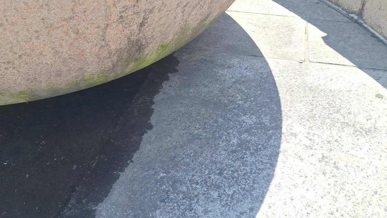 Melting ice forms weird "duck creature" :)