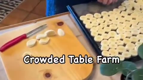 Preserving bananas 🌱🌱🌱