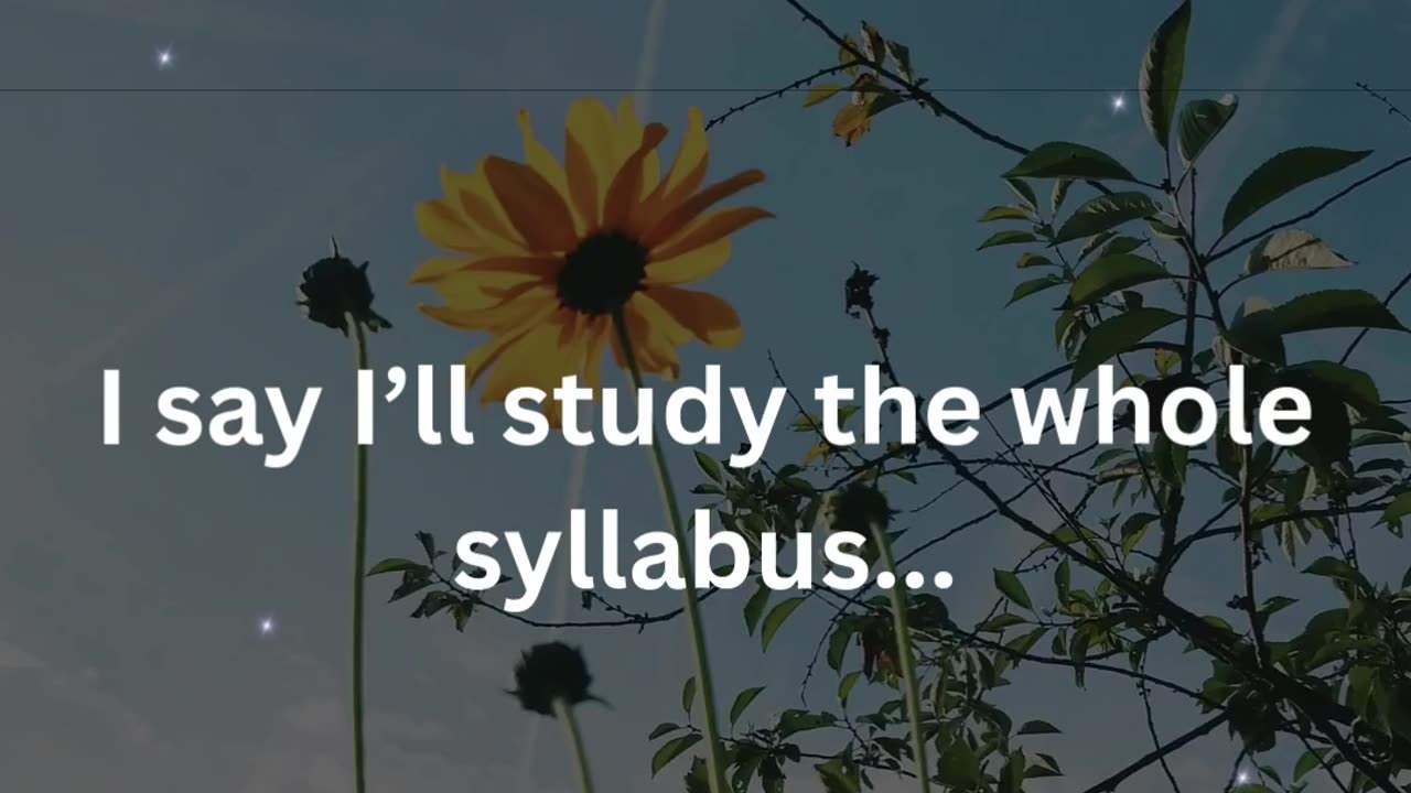 Big plans before the exam, only back questions at the end!