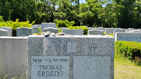 FAMOUS GRAVES - VOL. 598: TOMMY RAMONE