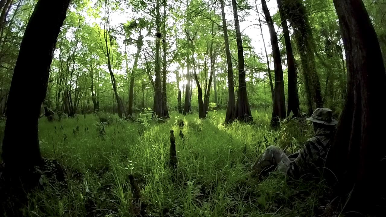 Turkey Hunt