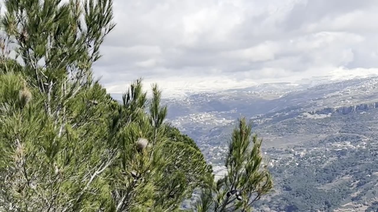 إبداعات ابو وديع