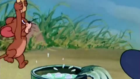 Dive into the chaos with Tom & Jerry! 🐱🐭
