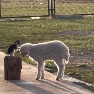 Awkward first introductions