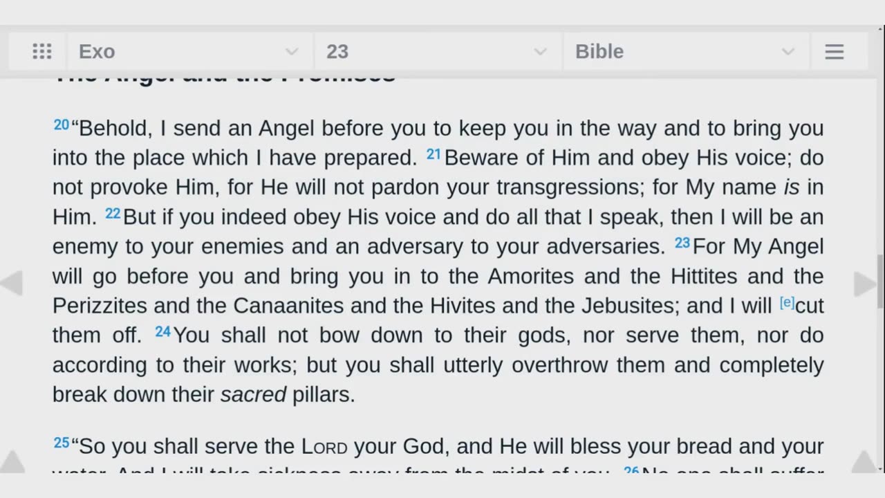 Blind Arrogant Trinitarian Now Cannot Read His Bible Properly Because Of His Corrupt Doctrine