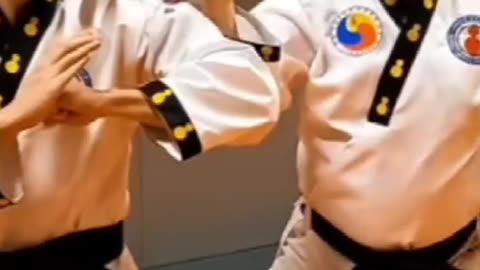 Taekwondo