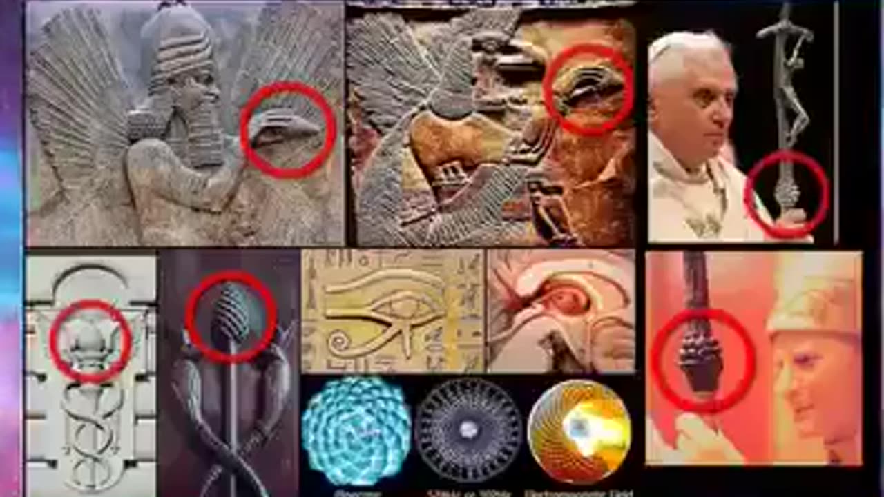 Pineal Gland