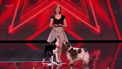 Funniest Failed Acts