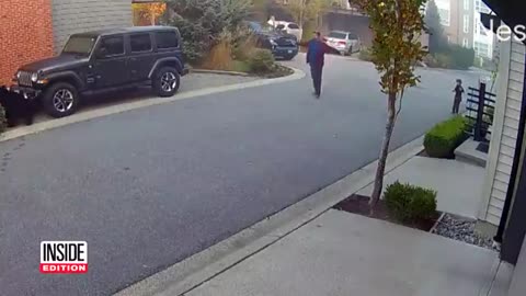 Trending: 7-Year-Old Encounters Massive Bear While Riding Scooter