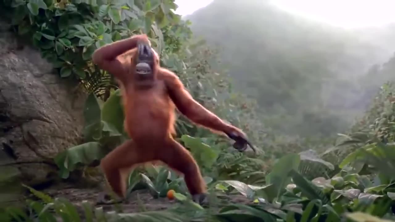Its Monkey'S Dance