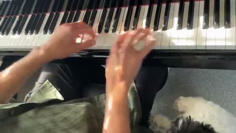 Dino at the Piano Great Is Thy Faithfulness