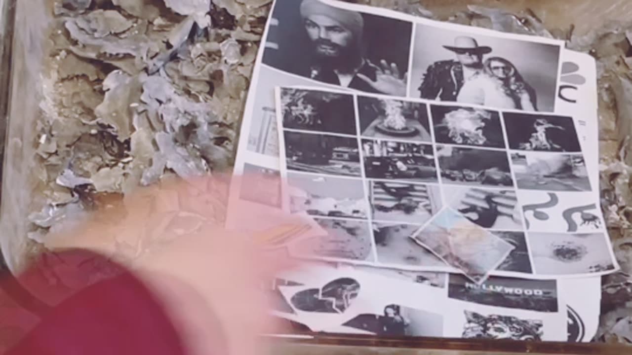 Tim Rifat TikTok Videos