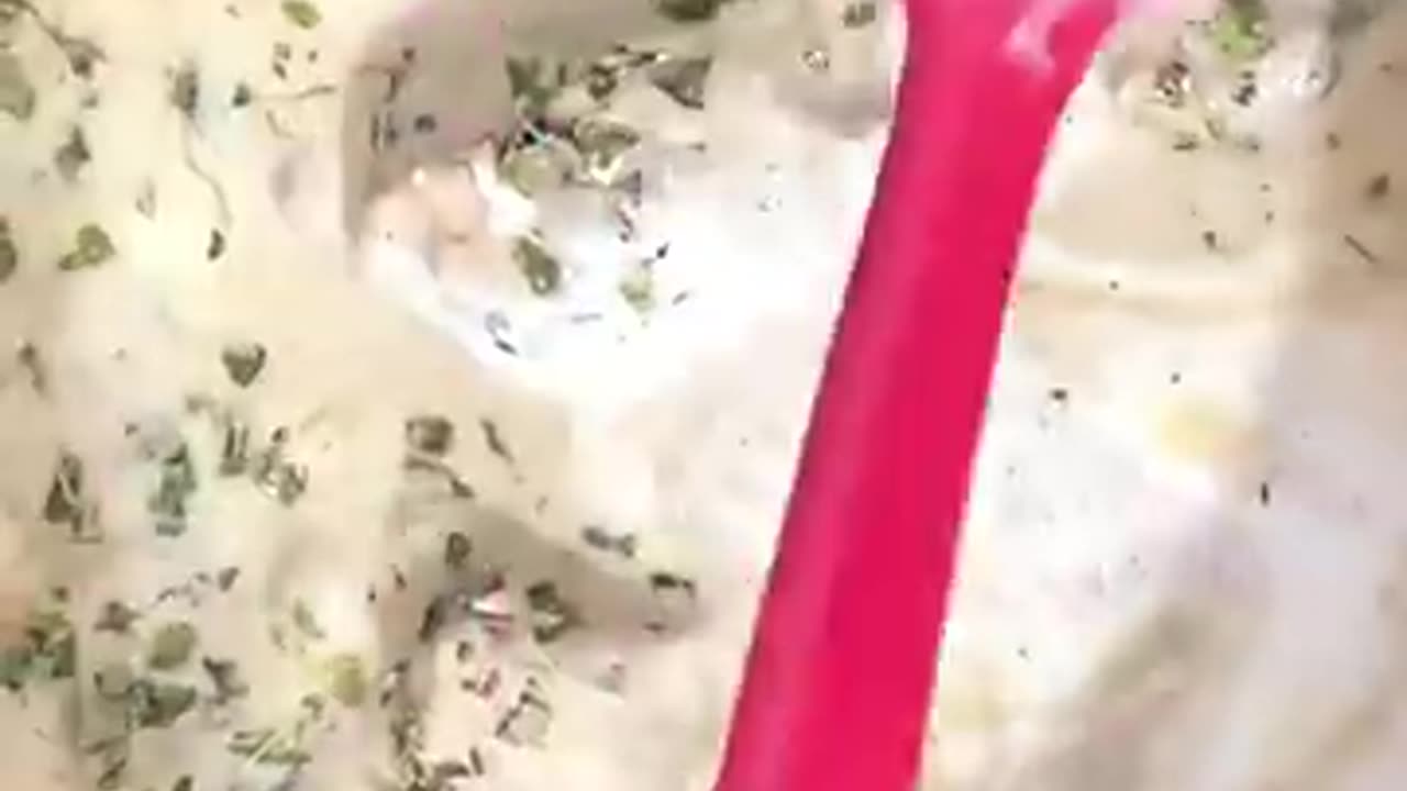 White chicken korma recipe