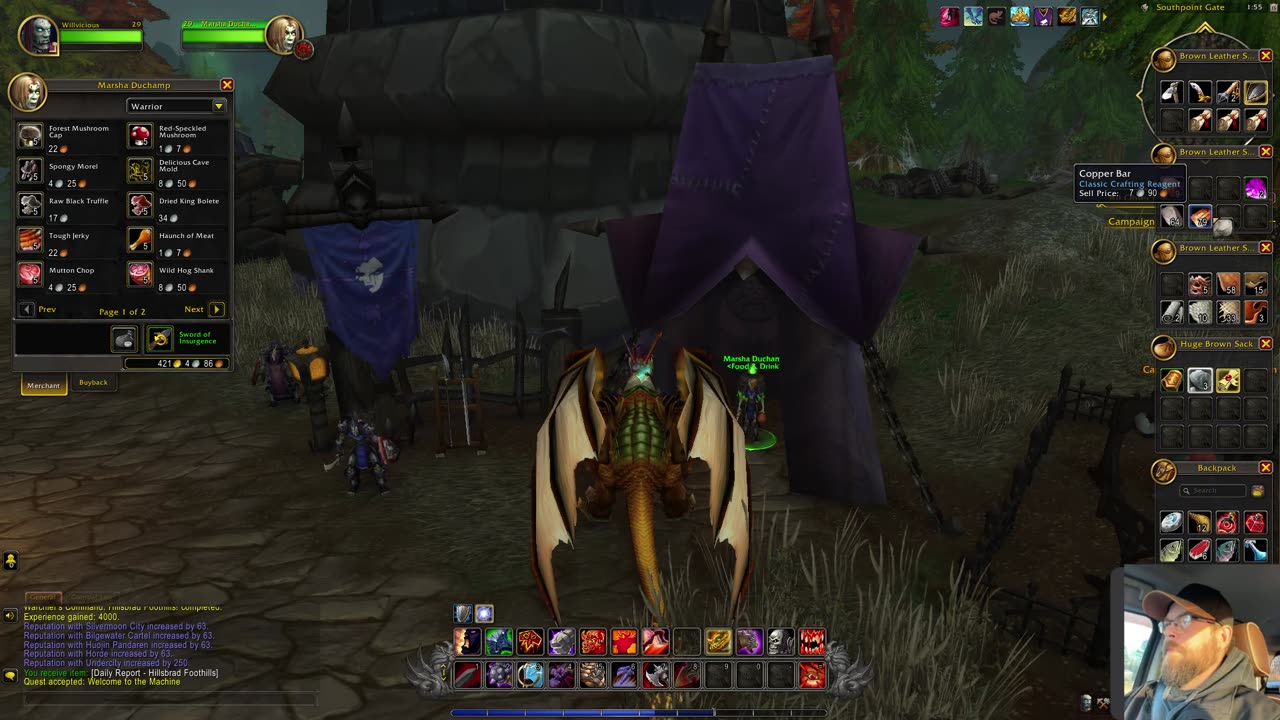 World of Warcraft