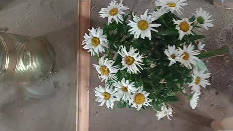 B4 and after - Our time travel chair. Sale price 10k